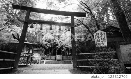 野宮神社　黒木の鳥居 122812703