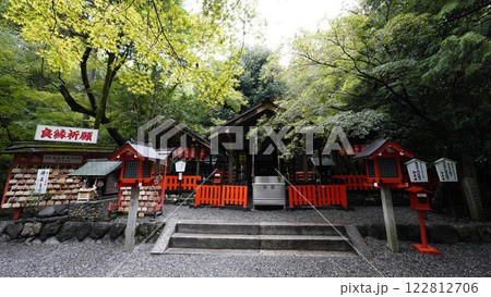 京都嵐山　野宮神社 122812706