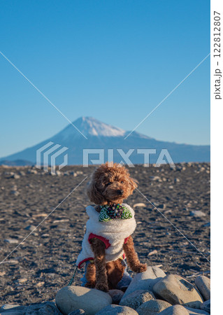 富士山と犬 富士山と犬 122812807