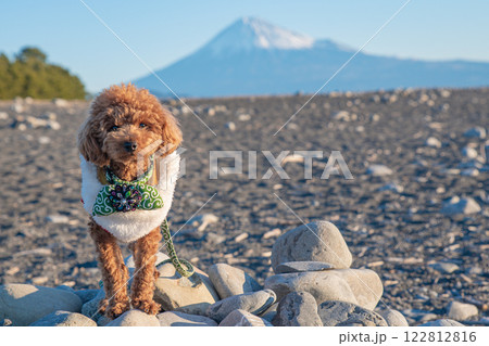 富士山と犬 122812816