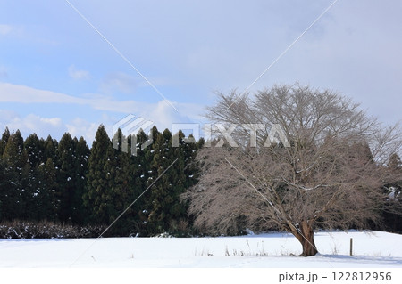 南部町田住の雪景色　7 122812956
