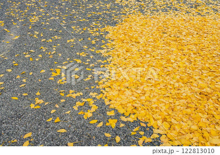 浜松市にある方広寺のイチョウの落ち葉の風景(静岡県) 122813010