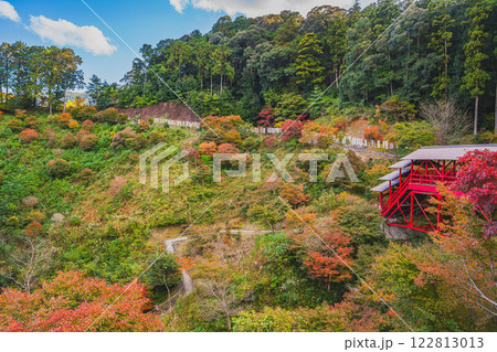 浜松市にある方広寺の紅葉の中の亀背橋の風景(静岡県) 122813013