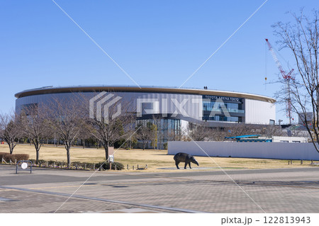 建設中のTOYOTA ARENA TOKYO(トヨタアリーナ東京) 建設中のTOYOTA ARENA TOKYO(トヨタアリーナ東京) 122813943