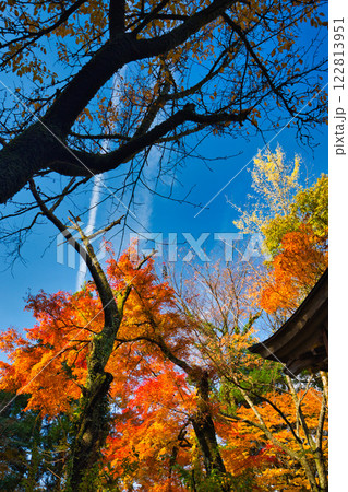 白山平泉寺の静かな秋 白山平泉寺の静かな秋 122813951