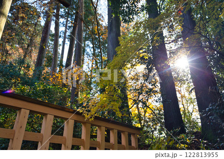 白山平泉寺の静かな秋 122813955