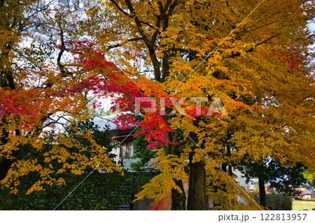 白山平泉寺の静かな秋 122813957