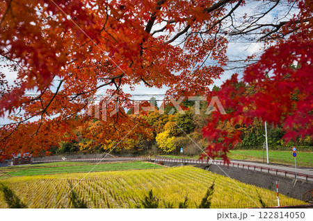 白山平泉寺の静かな秋 白山平泉寺の静かな秋 122814050