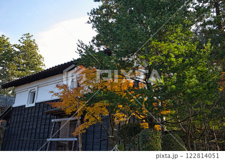 白山平泉寺の静かな秋 白山平泉寺の静かな秋 122814051