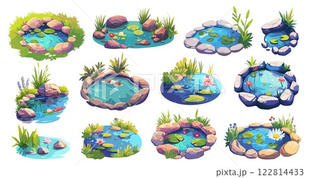 Cartoon ponds. Little garden lakes with grass water lily stones fish, nature landscape element vector illustration 122814433