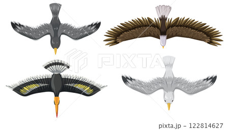 Majestic Birds in Flight Illustration Majestic Birds in Flight Illustration 122814627