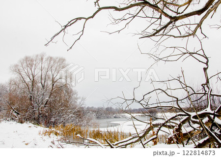 Landscape of late autumn with an old willow on the snow-covered bank of a frozen lake 122814873