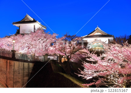 【石川県】金沢城 石川門の満開の夜桜 【石川県】金沢城 石川門の満開の夜桜 122815167