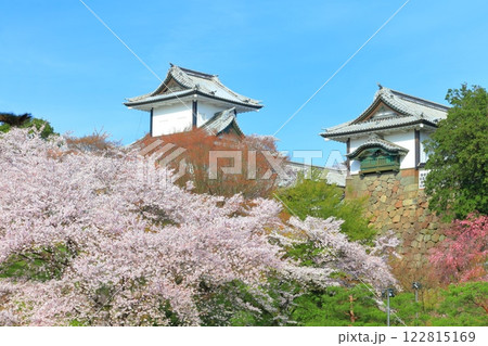 【石川県】晴天の金沢城 石川門と満開の桜 【石川県】晴天の金沢城 石川門と満開の桜 122815169