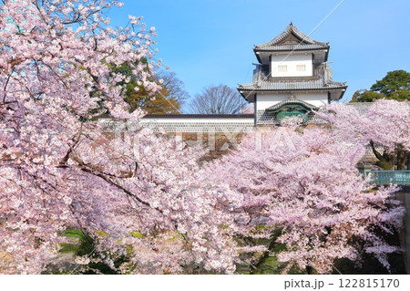 【石川県】晴天の金沢城 石川門と満開の桜 122815170