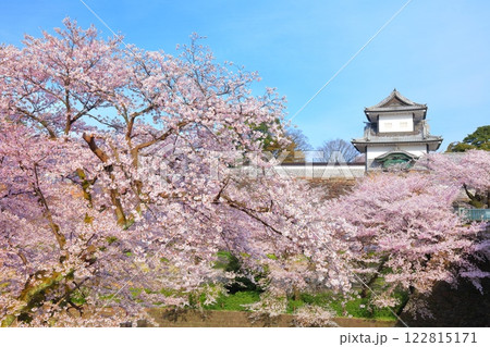 【石川県】晴天の金沢城 石川門と満開の桜 【石川県】晴天の金沢城 石川門と満開の桜 122815171