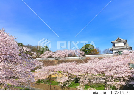 【石川県】晴天の金沢城 石川門と満開の桜 【石川県】晴天の金沢城 石川門と満開の桜 122815172