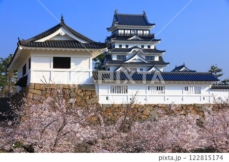 【広島県】満開の桜と復興後の福山城 【広島県】満開の桜と復興後の福山城 122815174
