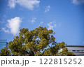 木と空 122815252