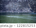 鳥と川 122815253
