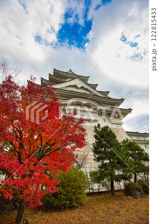晩秋の勝山城博物館 122815433