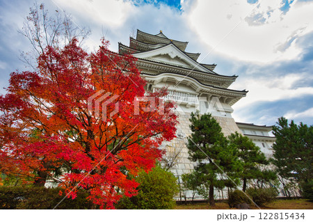 晩秋の勝山城博物館 晩秋の勝山城博物館 122815434