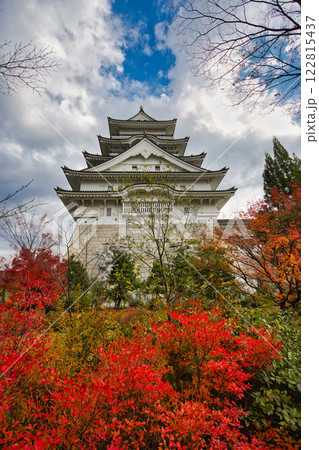 晩秋の勝山城博物館 122815437