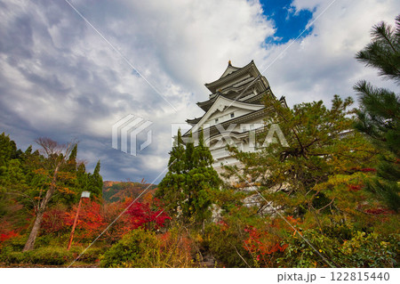 晩秋の勝山城博物館 122815440