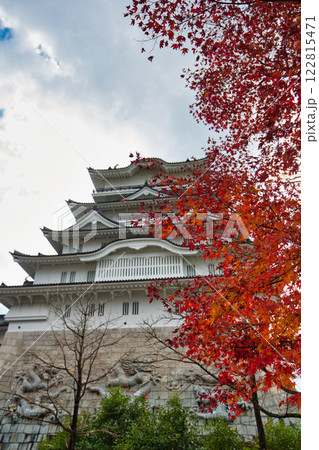 晩秋の勝山城博物館 晩秋の勝山城博物館 122815471