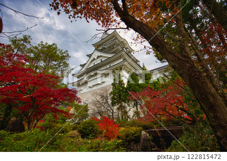 晩秋の勝山城博物館 晩秋の勝山城博物館 122815472