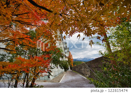 晩秋の勝山城博物館 122815474