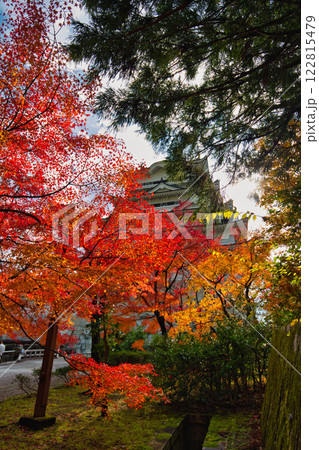 晩秋の勝山城博物館 晩秋の勝山城博物館 122815479