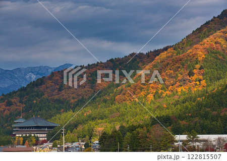 晩秋の勝山城博物館 122815507