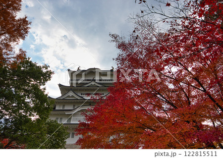晩秋の勝山城博物館 晩秋の勝山城博物館 122815511