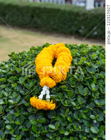 Close-up of colorful marigold garland in outdoor garden symbolic cultural display 122815827