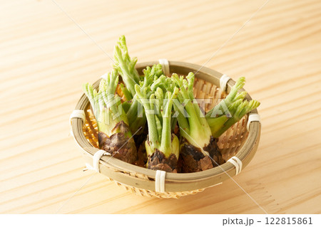 山菜　タラの芽　イメージ 122815861