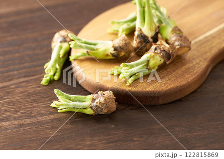 山菜　タラの芽　イメージ 122815869