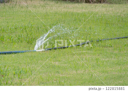 Watering grass using sprinkler system home garden nature outdoor close-up irrigation tips Watering grass using sprinkler system home garden nature outdoor close-up irrigation tips 122815881