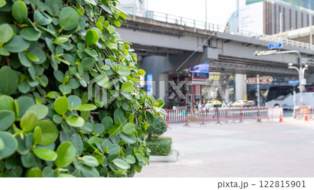 Urban greenery scene city street nature urban environment close-up view serenity in motion 122815901