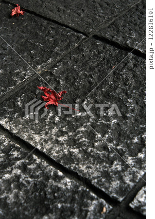 石畳に落ちた紅葉 石畳に落ちた紅葉 122816191