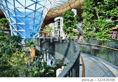 ハマド国際空港のオーチャード（カタール・ドーハ）Hamad Intl. Airport 122816386