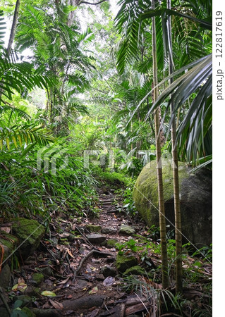 Mahe Island rainforest Trail in Seychelles Mahe Island rainforest Trail in Seychelles 122817619