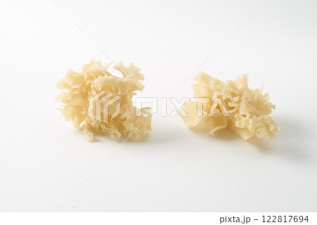 花びら茸 イメージ 花びら茸 イメージ 122817694