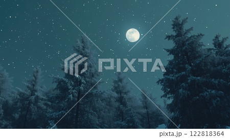 Snow-covered pine trees under a starry winter sky with the moon shining 122818364