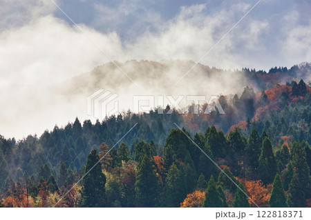 晩秋の里山 122818371