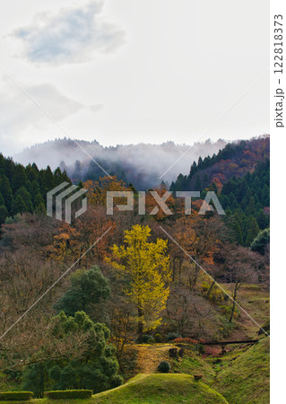 晩秋の里山 晩秋の里山 122818373