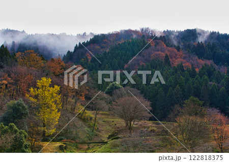 晩秋の里山 122818375