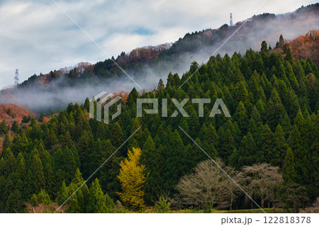 晩秋の里山 122818378