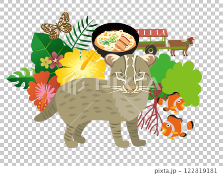 沖縄　西表島　観光　グルメ 122819181