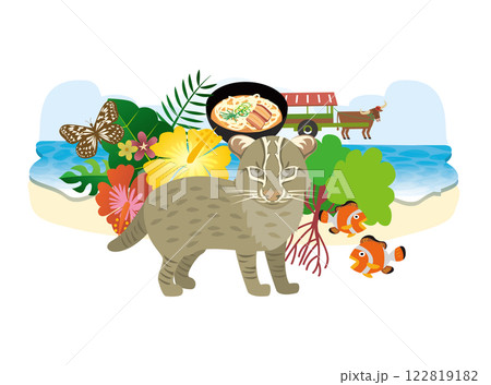 沖縄　西表島　観光　グルメ 122819182